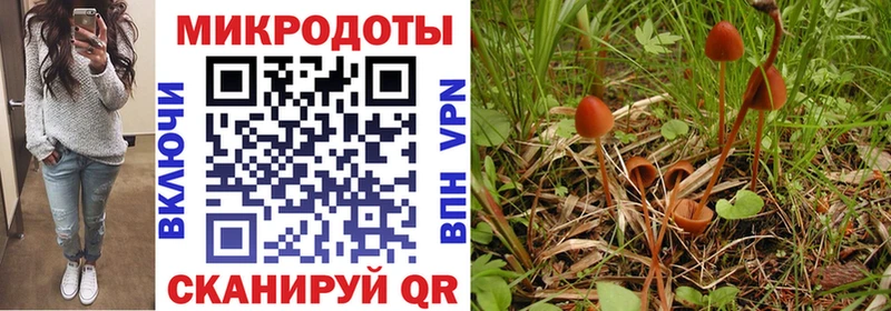 ссылка на мегу ссылка Мостовской Галлюциногенные грибы Cubensis